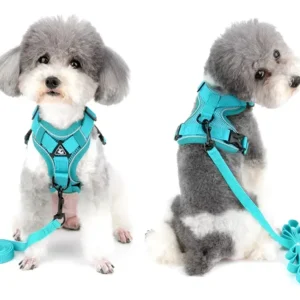 Arnes Pretal Para Perro Y Gato Con Correa 1.5 M Anti Tirones